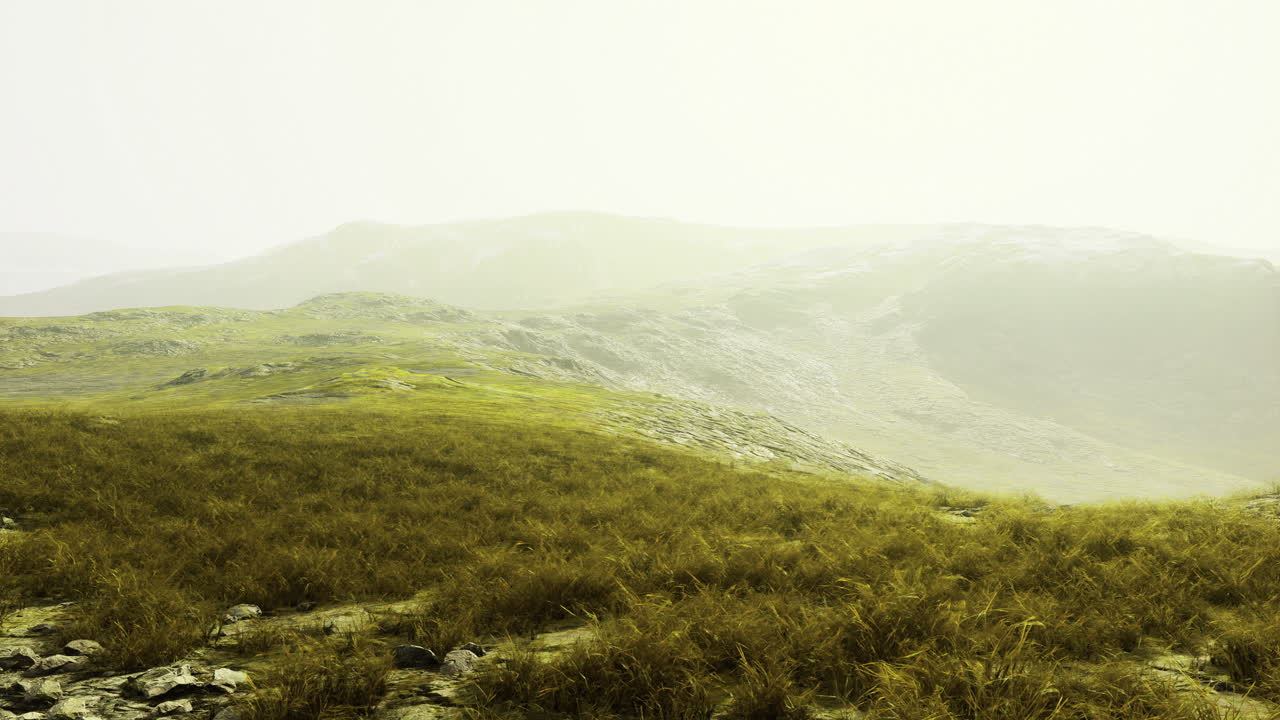 Vast green hills under soft misty light during an early morning