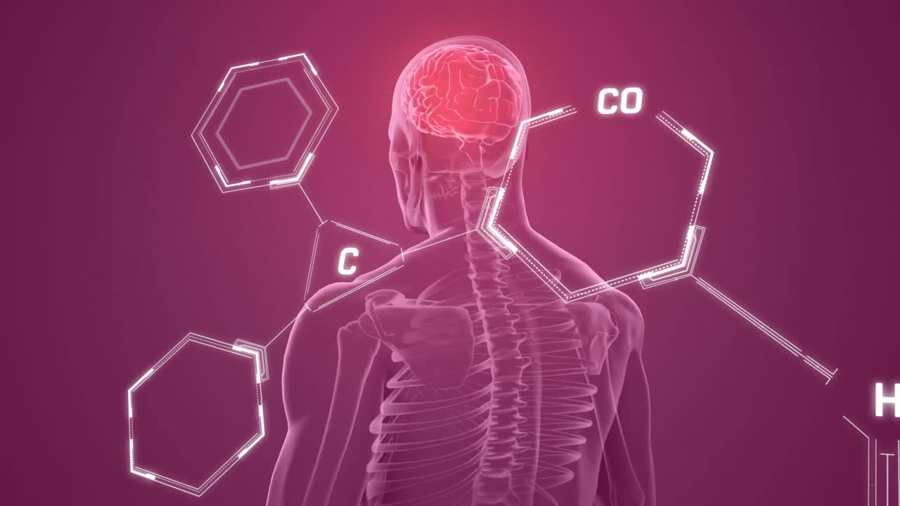 animación de procesamiento de datos y fórmula química sobre humano digital con cerebro