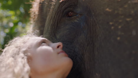 close up woman touching elephant caressing animal companion enjoying friendship feeling connection to nature in zoo 4k