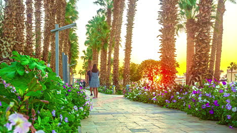 timelapse of people walking in the path between flowers and palm trees in sunrise