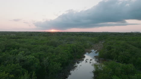 sunset over a tropical forest from above