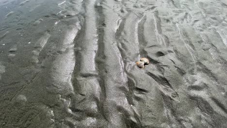 incoming tide reflects off ripples on a sunny sandy ocean beach