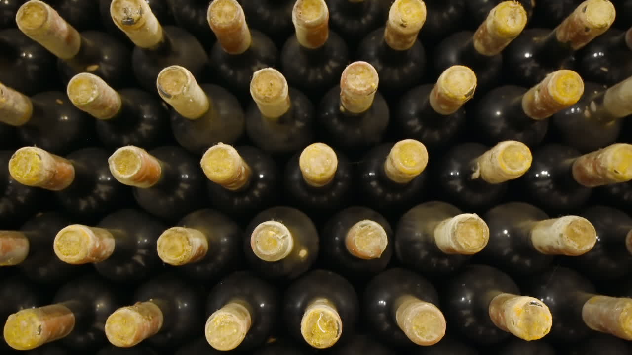 Wine bottles in a winery cellar
