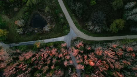 bird-eye-view---top-down-of-a-vacation-home-on-the-lake-with-a-private-tennis-court-with-autumn-foliage