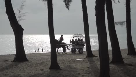 silueta de un carruaje tirado por caballos que cruza la playa con un hermoso reflejo de la luz del sol en el fondo del mar