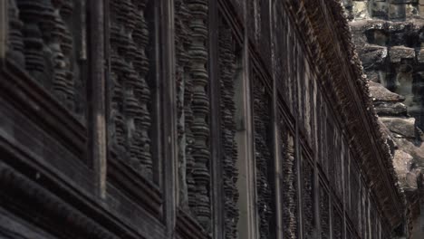 cerrar la toma panorámica exterior de la antigua muralla que revela una palmera verde
