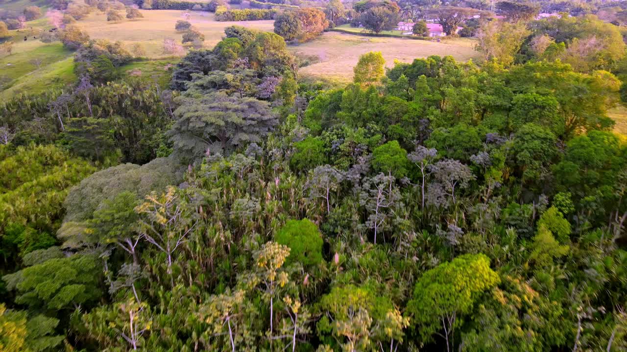 페레이라, 콜롬비아 e의 아름다운 풍경