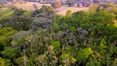 beautiful landscapes of pereira, colombia e