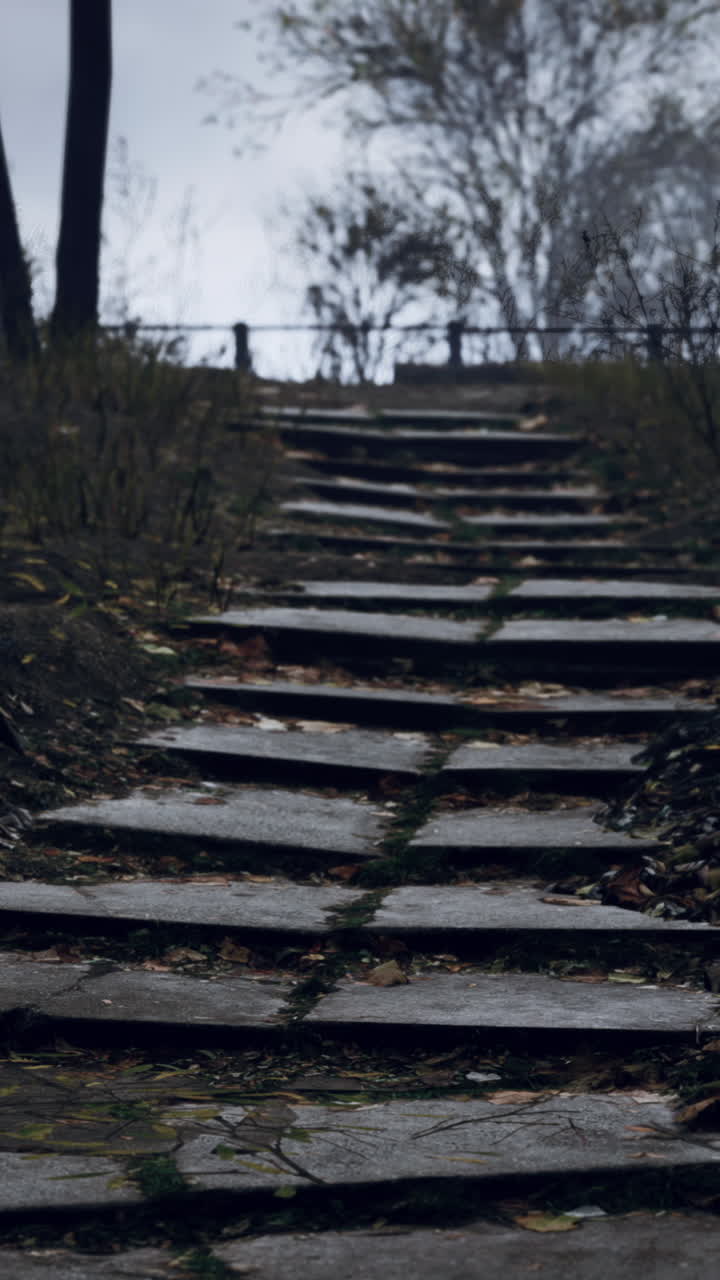Misty Autumn Stairs in a Park