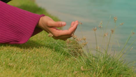 la mano de una niña tocando las hojas de una planta junto a un lago