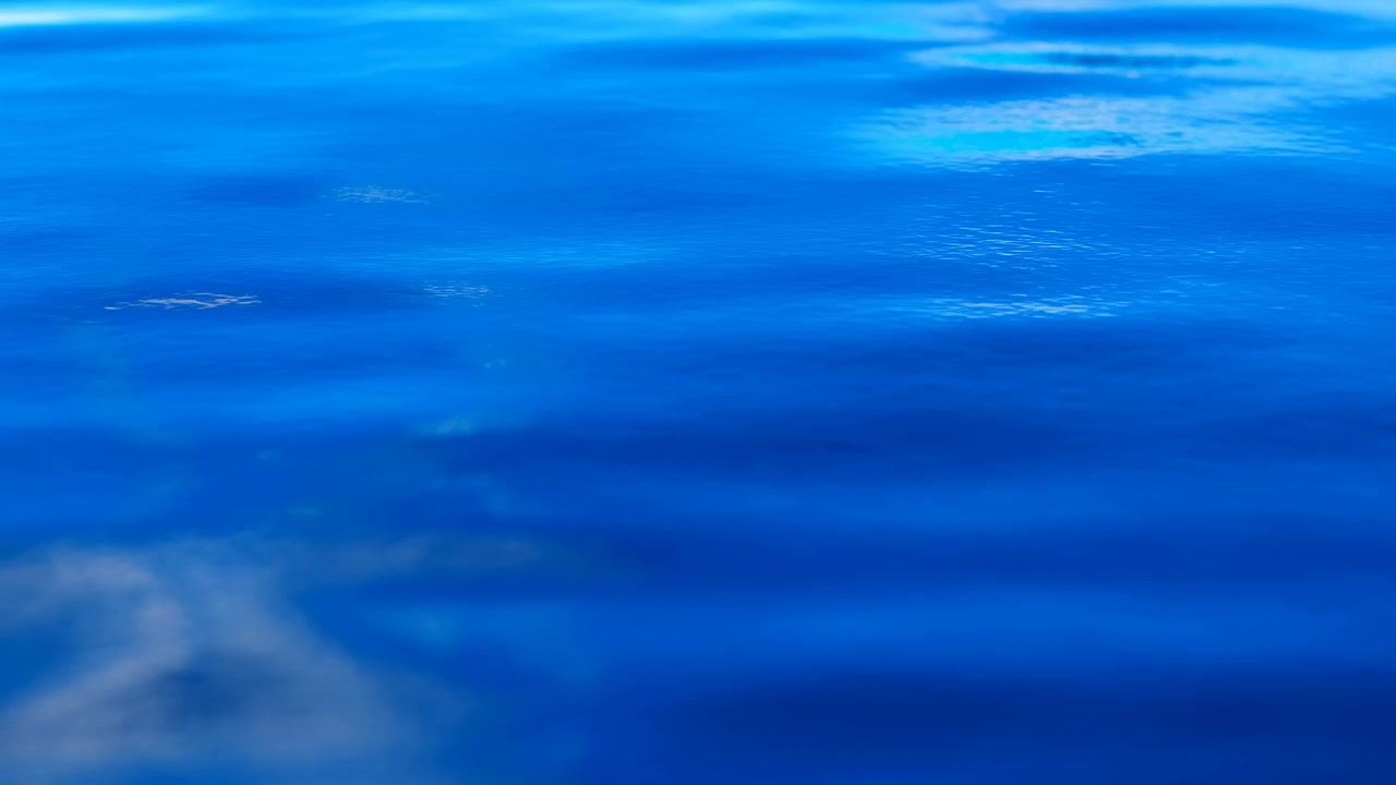 Una tranquila escena submarina con ondas y movimiento de las olas del océano, capturada desde una serena perspectiva azul. La belleza natural del océano se destaca con fondos limpios.