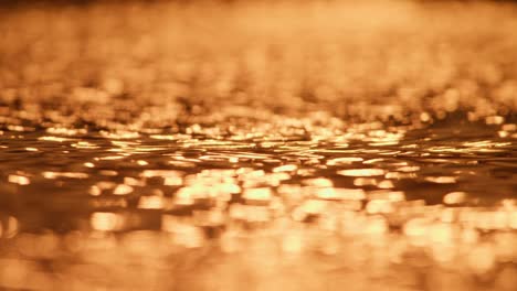 golden ripples on water surface