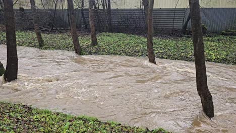 masa de agua en una tormenta el río furioso después de un clima extremo