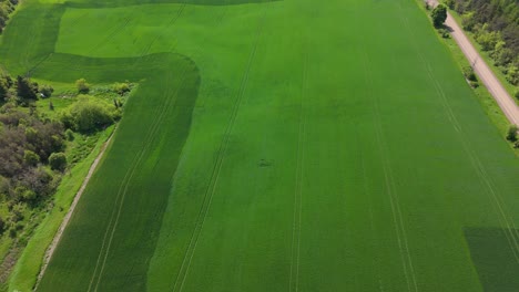 green field with clear patterns and a rural road in the background