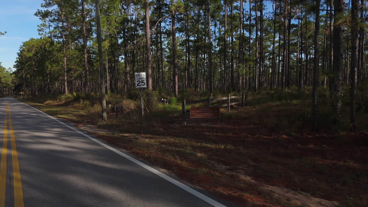 Strada a due corsie e limite di velocità di 40 km/h accanto al cartello di ingresso del parco statale, corridoio forestale fiancheggiato da pini alti e lunghe ombre