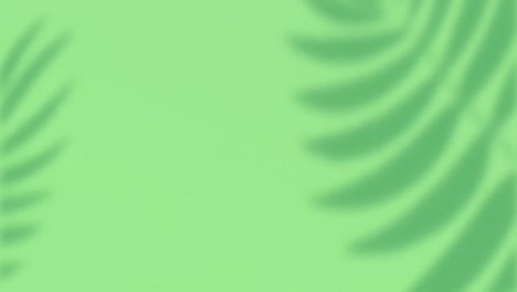 animación de un patrón floral con espacio de copia sobre un fondo verde