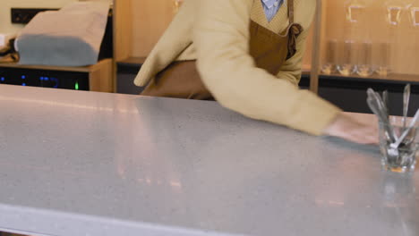 waitress cleaning bar counter with rag while working in coffee shop 1