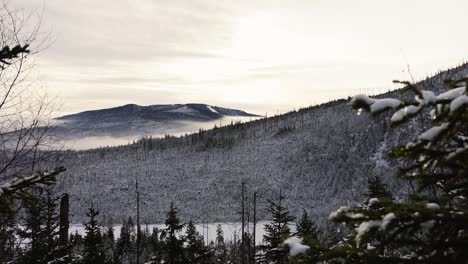 Plano-General-Estático-Del-Paisaje-Montañoso-Nevado-Con-Muchos-árboles-De-Coníferas-Y-Niebla-En-Invierno