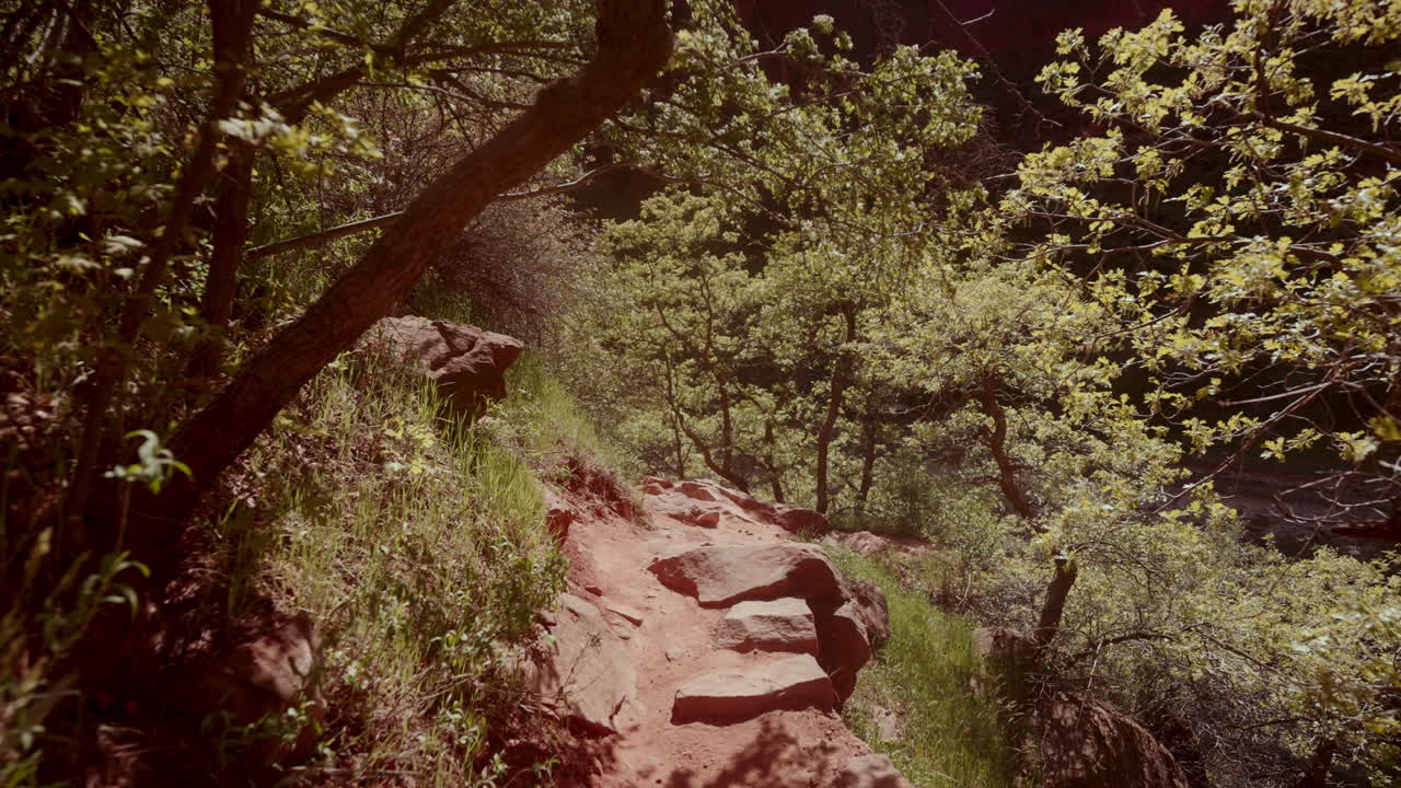 Hiking Trail Through a Forest with Red Rocks