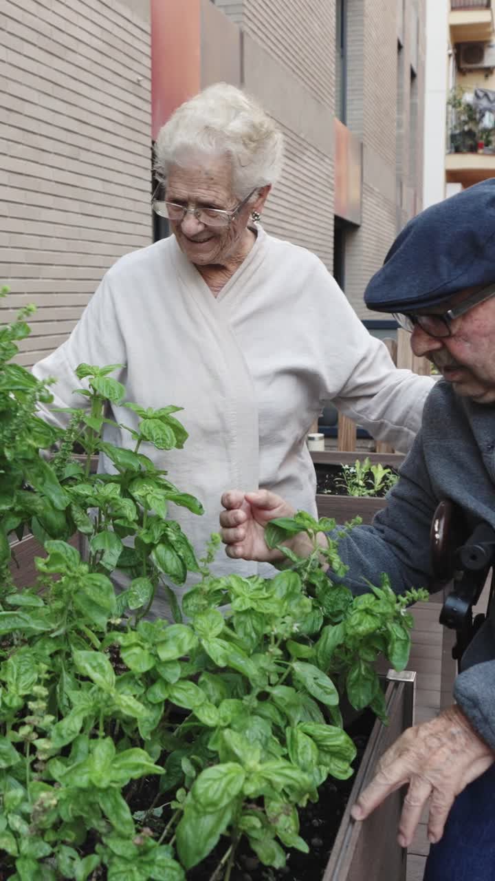 Elderly Couple Gardening Together