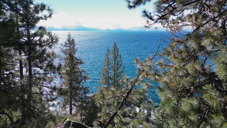 Aerial-view-through-trees-out-to-Lake-Tahoe-water