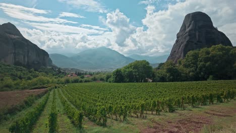 kastraki greek grape vineyard below rock formations of meteora