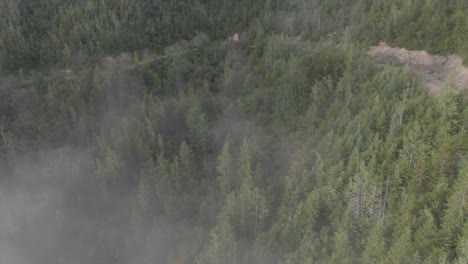 Luftaufnahme-Von-Bergbäumen-Bei-Sonnenaufgang-In-British-Columbia