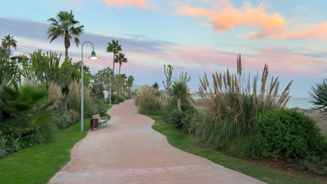 beautiful sunset stroll along a coastal path