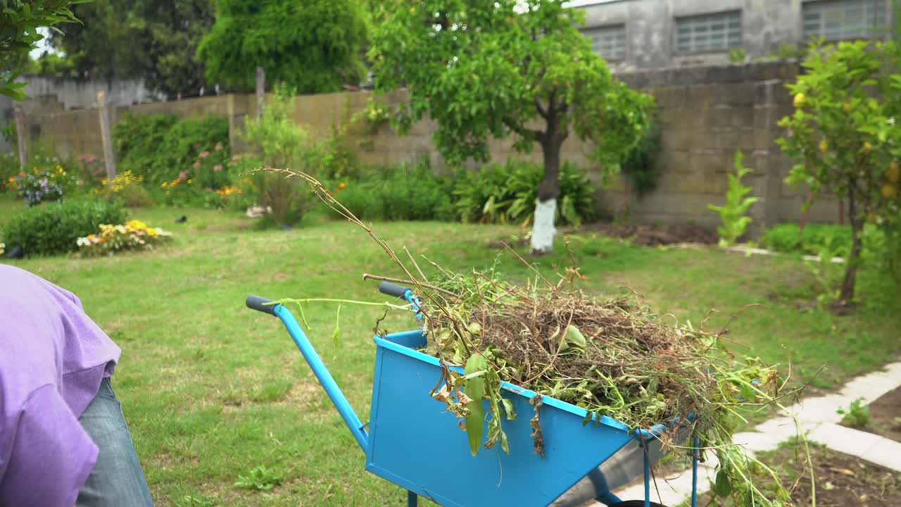 Young man picking up grass and weeds in a wheelbarrow