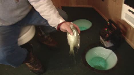a fish is coming out of the shack hole inside a fish house. high angle