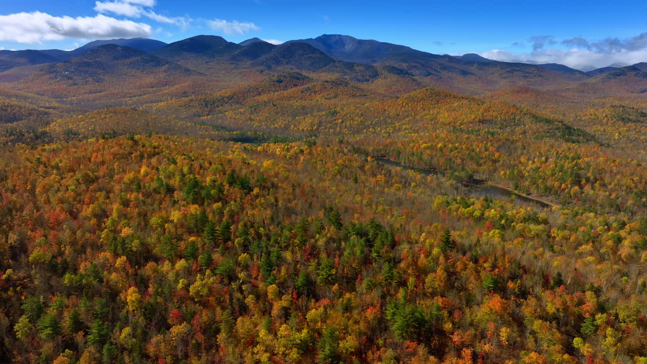 Captivating panorama of a vast forest covering the mountainous landscape. High mountains at backdrop. Top view.