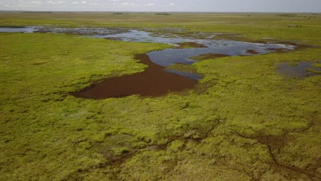 Wetlands-of-northeast-Argentina-shooted-with-drone