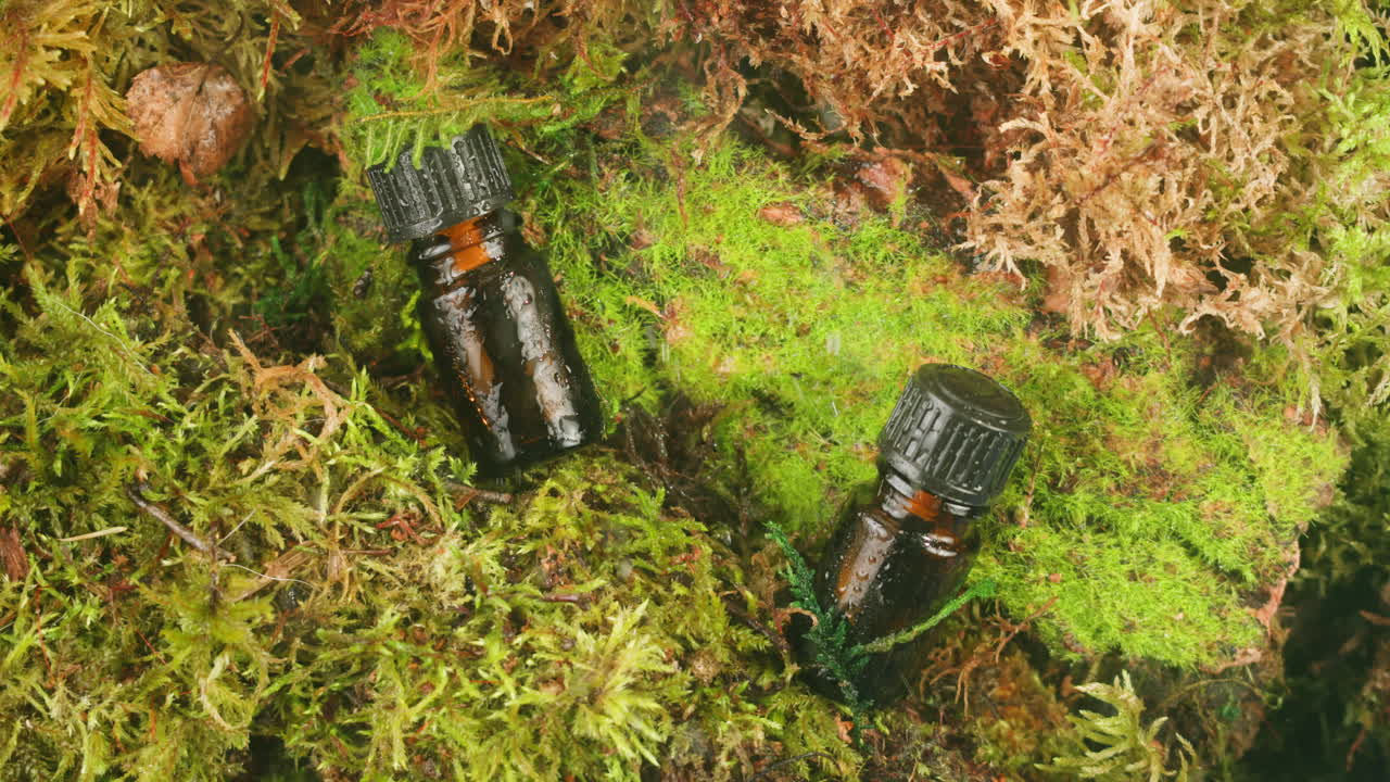 Bottle of cosmetics cream serum on moss forest background green leaves. Woman Make up healthy natural products.