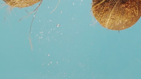 coconuts splashing underwater