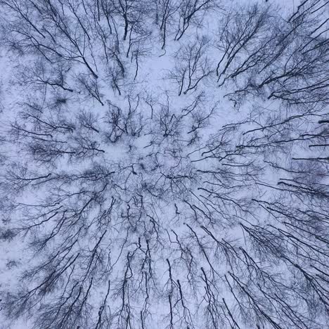 drone above winter wonderland