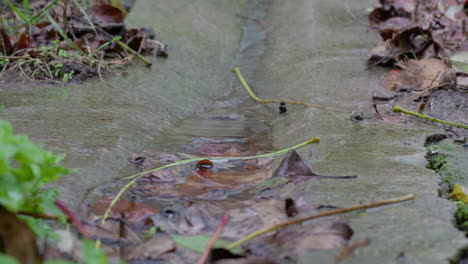 Agua-Que-Fluye-En-Un-Desagüe-De-Lluvia-De-Hormigón-Bajo-La-Lluvia