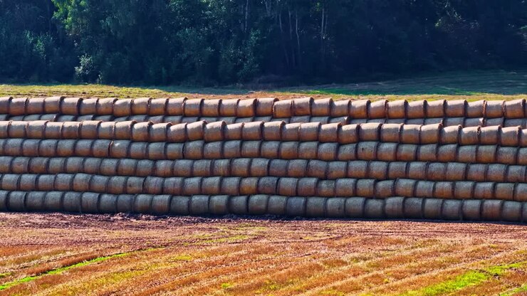 Stacked hay bales in a sunny field evoke a feeling of rural tranquility