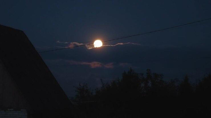 Luna piena dietro le nuvole nel cielo notturno scuro con alberi in silhouette