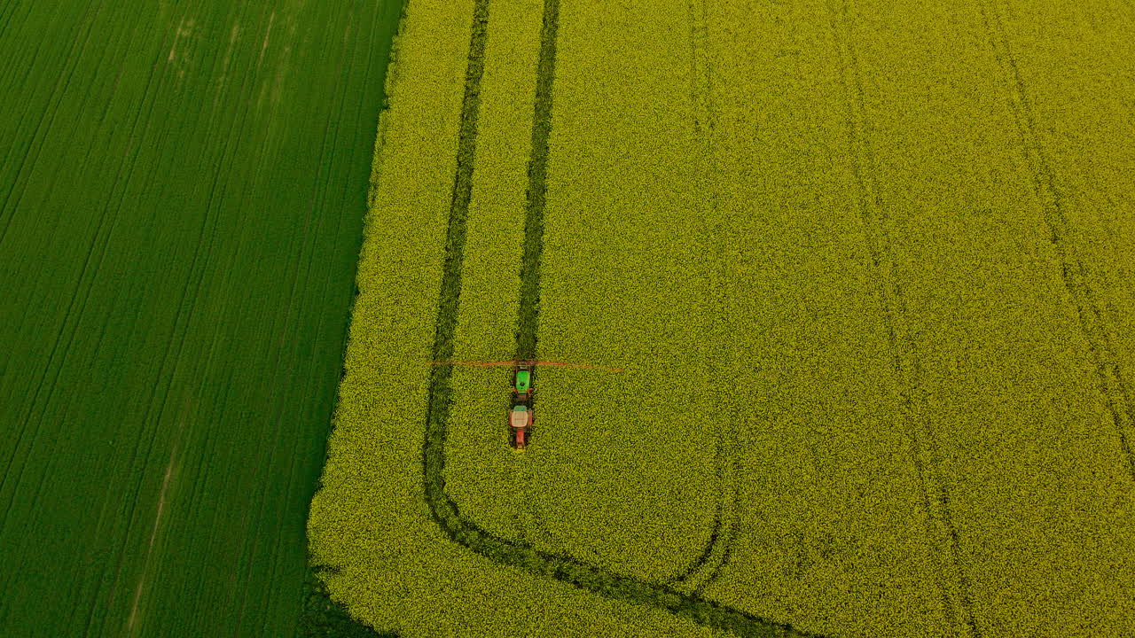 tractor agrícola con brazos rociadores rociando pesticidas sobre un campo de colza en flor amarilla, retroceso aéreo