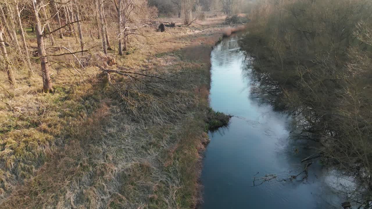 En flod der løber gennem den fredfyldte Breckland-skov, Norfolk, luftfoto