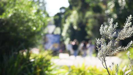 personas caminando a través de la vegetación exuberante en el zoológico de melbourne