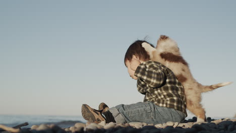 Un-Cachorro-Divertido-Y-Juguetón-Se-Pega-Al-Bebé-Y-Quiere-Jugar.-Niños-Y-Mascotas---Videos-Lindos-Y-Divertidos