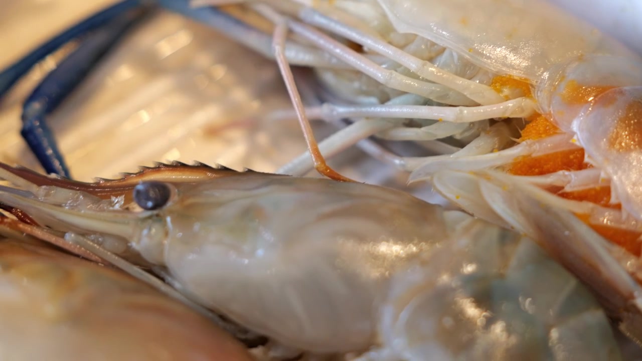Close-up of fresh raw river prawns arranged neatly on a serving tray, showcasing their natural texture, translucent shells, and premium seafood presentation.