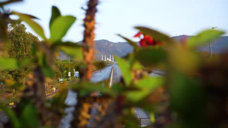 revealing faisal mosque islamabad with margala from cactus flowers faisal avenue