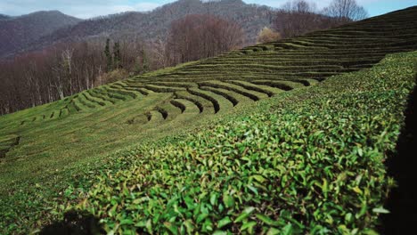 aerial view of farm on the mountains