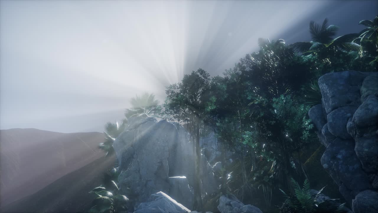 ⁇  오일 트리 플랜테이션 에서 해가 뜨다