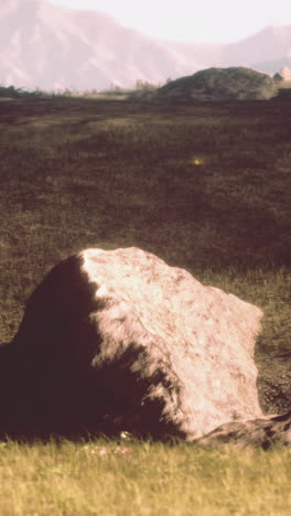 un amplio campo de hierba con una montaña en el fondo