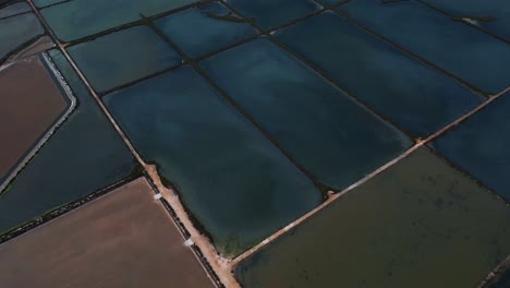 Estanques,-Cuencas-Y-Lagos-Salinos-De-Colores-Geométricos-Para-La-Agricultura-De-Salinas-En-La-Isla-De-Mallorca,-España