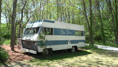 Großer-Blauer-Lieferwagen-Im-Wald,-Natur-Stockvideomaterial