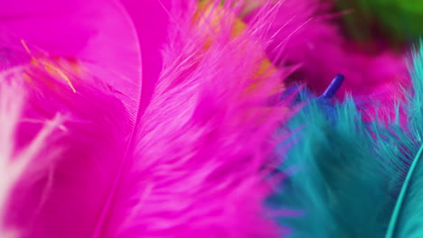 Close-up-pan-across-a-collection-of-colorful-feathers